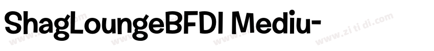 ShagLoungeBFDI Mediu字体转换